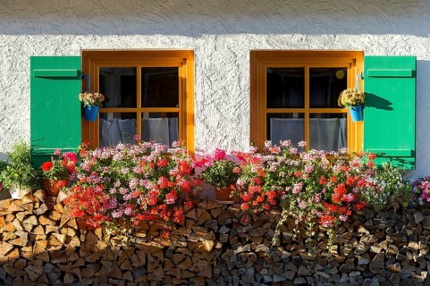 Farmhouse with geraniums (Pelargonium spec.) at the windows and stacked firewood, Graswang, Ettal,