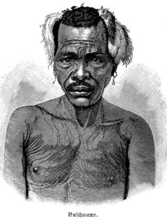 Bushman, former discriminatory term for the San people in South Africa, indigenous ethnic group,