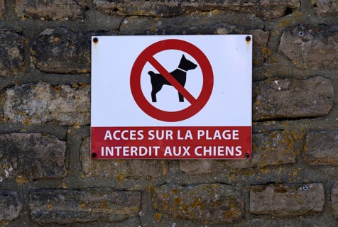 No dogs on the beach sign, Arromanches-les-Bains, Normandy, Calvados, France