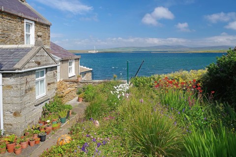 Stone cottage by the sea with flowering garden surrounded by peaceful coastal landscape, Stromness,