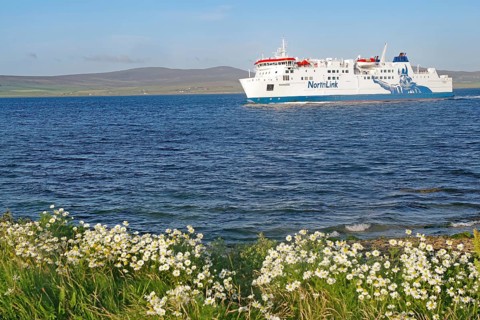 Ferry sailing past blooming flowers on a long blue sea, North Link Ferry, Mainland, Orkney Islands,