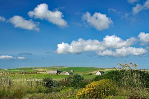 Village landscape with houses and fields under a cloudy sky, Mainland, Orkney Islands, Scotland,