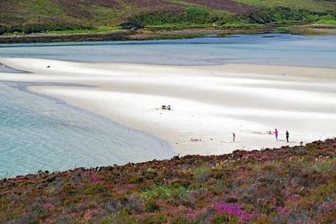 White sandy beach with calm clear waters, ideal for relaxation and tranquillity, Mainland, Orkney