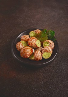 Snails stuffed in Burgundy, on a black plate, with grape leaves, French cuisine, no people