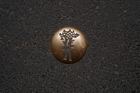 Golden waymarker for city tour on the asphalt, motif liberty tree, old town, Bayeux, Normandy,