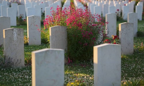 Gravestones, war graves, soldiers' graves, flowers, British and German military cemetery, Cimetière