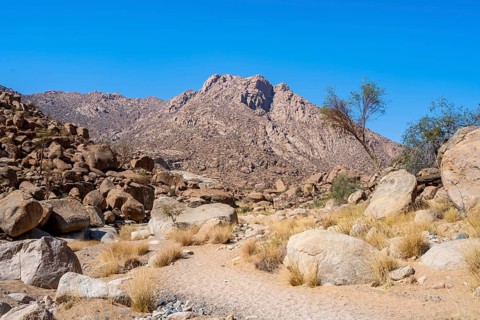 Tsisab Gorge, White Lady Trail, desert landscape with mountains, Brandberg, Erongo, Damaraland,