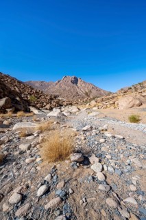 Tsisab Gorge, White Lady Trail, desert landscape, Brandberg, Erongo, Damaraland, Namibia