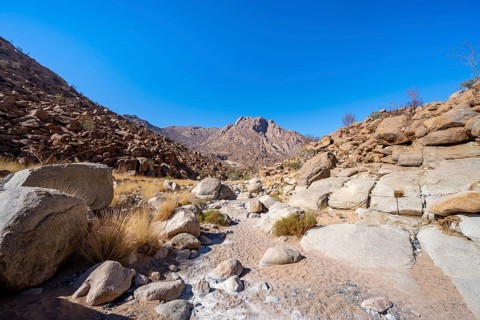 Tsisab Gorge, White Lady Trail, desert landscape, Brandberg, Erongo, Damaraland, Namibia