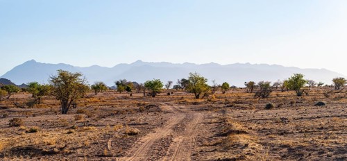 Sandy track, desert landscape, Brandberg, Erongo, Damaraland, Namibia