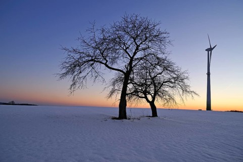 Two bare fruit trees against the evening sky in winter, on the right a wind turbine, Karsberg,