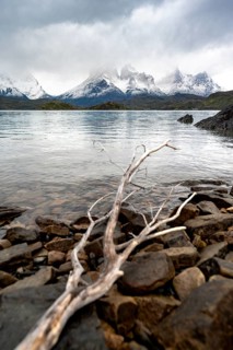 Cloudy mountain range Cuernos del Paine, dead branch on the shore of the blue lake Lago Pehoe in