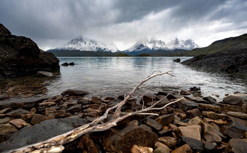 Cloudy mountain range Cuernos del Paine, dead branch on the shore of the blue lake Lago Pehoe in