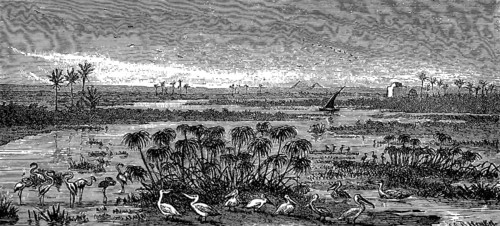 River mouth, Delta mouth of the Nile into the Mediterranean Sea, river landscape, island world,