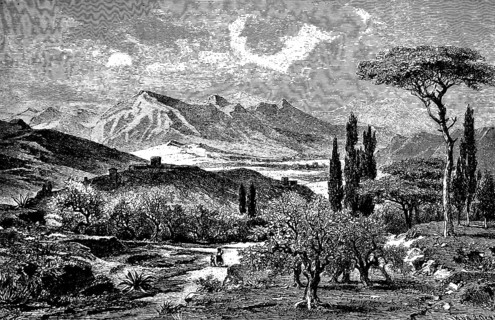 Mid-mountain landscape of the Apennines near Perugia, alpine mountain system, cypresses, olive