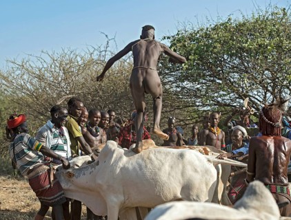 Leap over the cattle, traditional initiation ritual for young men among the Hamer ethnic group,