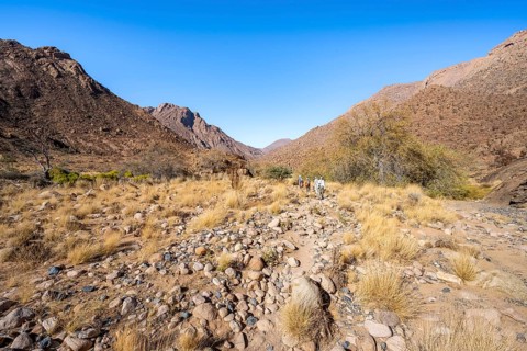 Tourists on a hiking trail in the Tsisab Gorge, White Lady Trail, desert landscape, Brandberg,