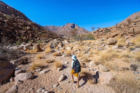Tourist on a hiking trail in the Tsisab Gorge, White Lady Trail, desert landscape, Brandberg,