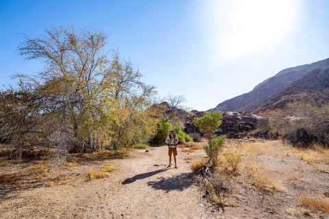 Tourist in the Tsisab Gorge, White Lady Trail, desert landscape, Brandberg, Erongo, Damaraland,