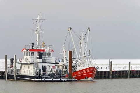 Winter day, onset of winter, ships in the harbour, North Sea, Norddeich, Lower Saxony, Germany