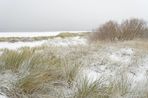 Winter day, onset of winter, snow-covered dune landscape of Norddeich, North Sea, Lower Saxony,