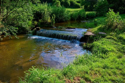 Quiet stream with lots of greenery and plants on the banks, summer, Ohrnbachtal, Weckbach,