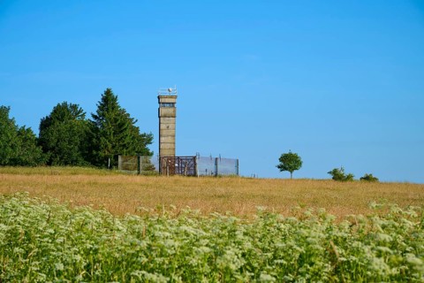 Meadow with an isolated watchtower of the former inner-German border next to a green tree and