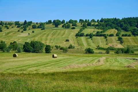 Wide meadows with hay bales and trees under a blue sky, conveys rural idyll, summer, Lange Rhön,