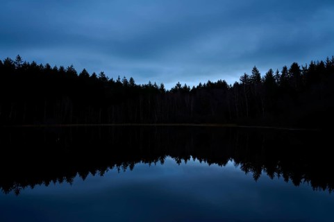 A quiet night scene with dark forest and reflection in the still water of a lake, Mülbenersee,