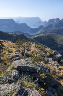 View of the Blyde River gorge, Lowveld Viewpoint, in the evening light, canyon landscape, Blyde