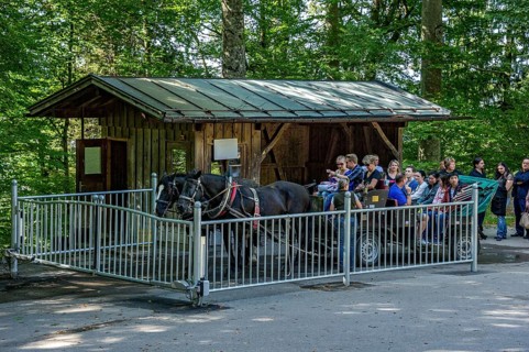 Mountain station, horse-drawn carriage stop for tourists at Neuschwanstein Castle, fairytale castle