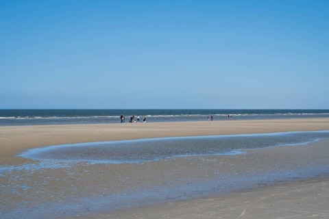 Sandbank, people on the coast, blue sky, Sankt Peter Ording, Eiderstedt, North Frisia, North Sea,