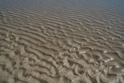Seabed with ripples, low tide at the North Sea, Sankt Peter Ording, Eiderstedt, North Frisia, North