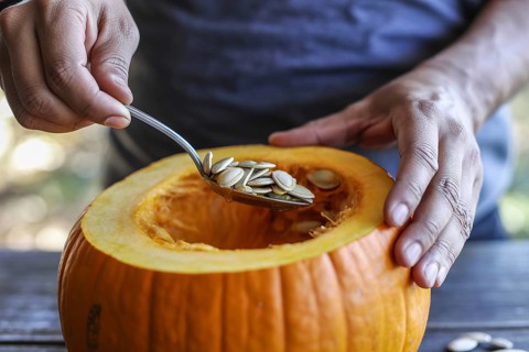 Hand scooping pumpkin seeds from a fresh pumpkin in the kitchen. Preparing pumpkin seeds for
