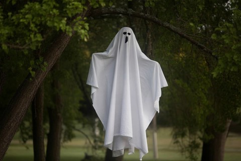 Spooky white sheet ghost Halloween decoration hanging from tree. Concept of spooky seasonal
