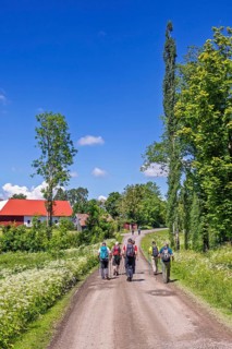 Group of hikers walking on a gravel road by a farm in the countryside a sunny summer day with a
