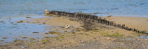 Wooden groynes on the coast, breakwater, Laboe, Baltic seaside resort, fjord, Baltic Sea, North