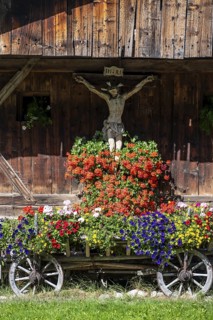 Colourful floral decorations and crucifix at a rustic alpine hut, Ridnauntal, South Tyrol, Italy