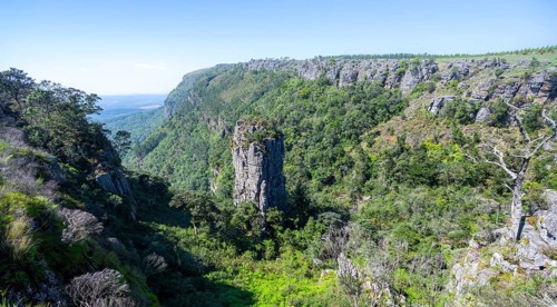 Rock needle in a densely forested canyon, Pinnacle Rock, view over canyon landscape, near Graskop,