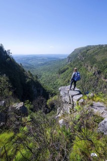 Young woman standing on a rocky outcrop, view over densely forested canyon, Pinnacle Rock, near