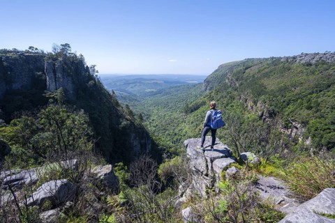 Young woman standing on a rocky outcrop, view over densely forested canyon, Pinnacle Rock, near