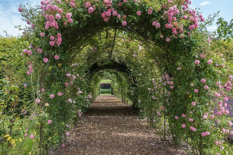 Rose-covered arched path in a green garden with a peaceful atmosphere, Netherlands