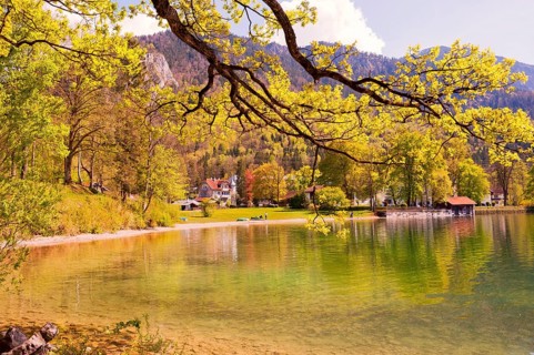 View of Lake Kochel, blossoming trees, municipality of Kochel am See, Alpine foothills, Upper