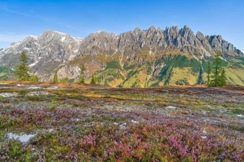 Autumn on the Hochkeil, Mandelwand, Hochkönig, Berchtesgaden Alps, Mühlbach am Hochkönig, Pongau,