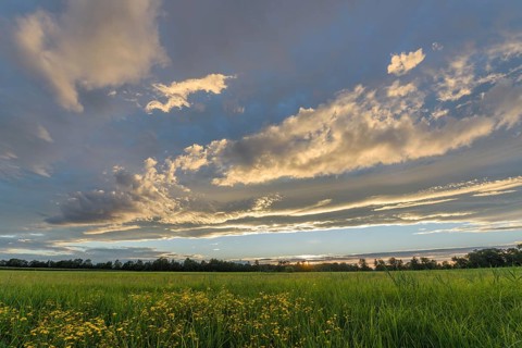 A vivid sunset lights up the sky with shades of orange and yellow, while a lush green field