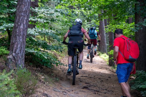 Opposite side Consideration of mountain bikers and hikers in the Palatinate Forest
