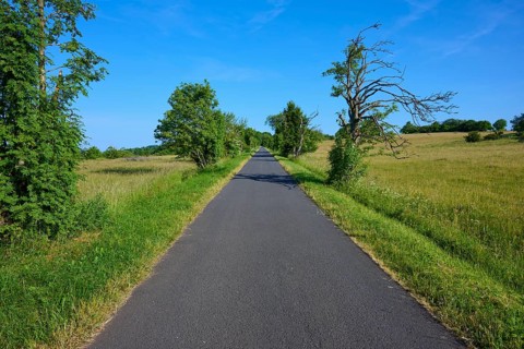 Rural road lined with trees under a clear sky, Fladungen, Frankenheim, Hohe Rhön, Rhön, Hesse,