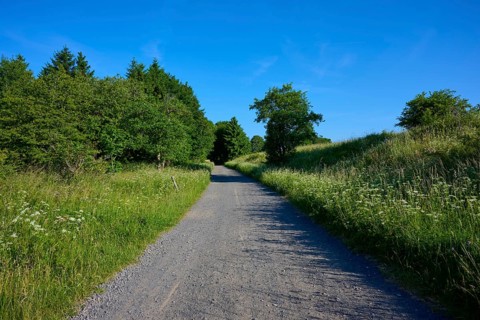 Quiet gravel path through trees and meadows under a clear sky, Fladungen, Frankenheim, Hohe Rhön,