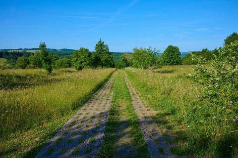 Nature trail through a wide meadow with blue sky in the background, Fladungen, Frankenheim, Hohe