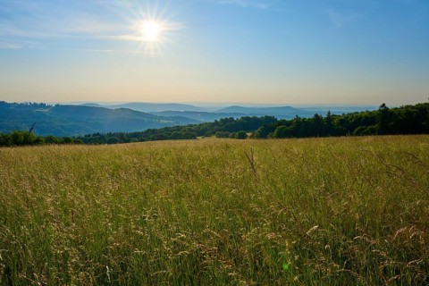 Sunrise over a vast field with rolling hills and blue streaks of sky, Fladungen, Frankenheim, Hohe